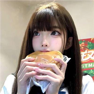 大象之梦